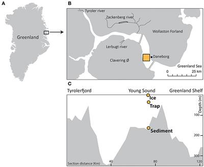 Spring Succession and Vertical Export of Diatoms and IP25 in a Seasonally Ice-Covered High Arctic Fjord